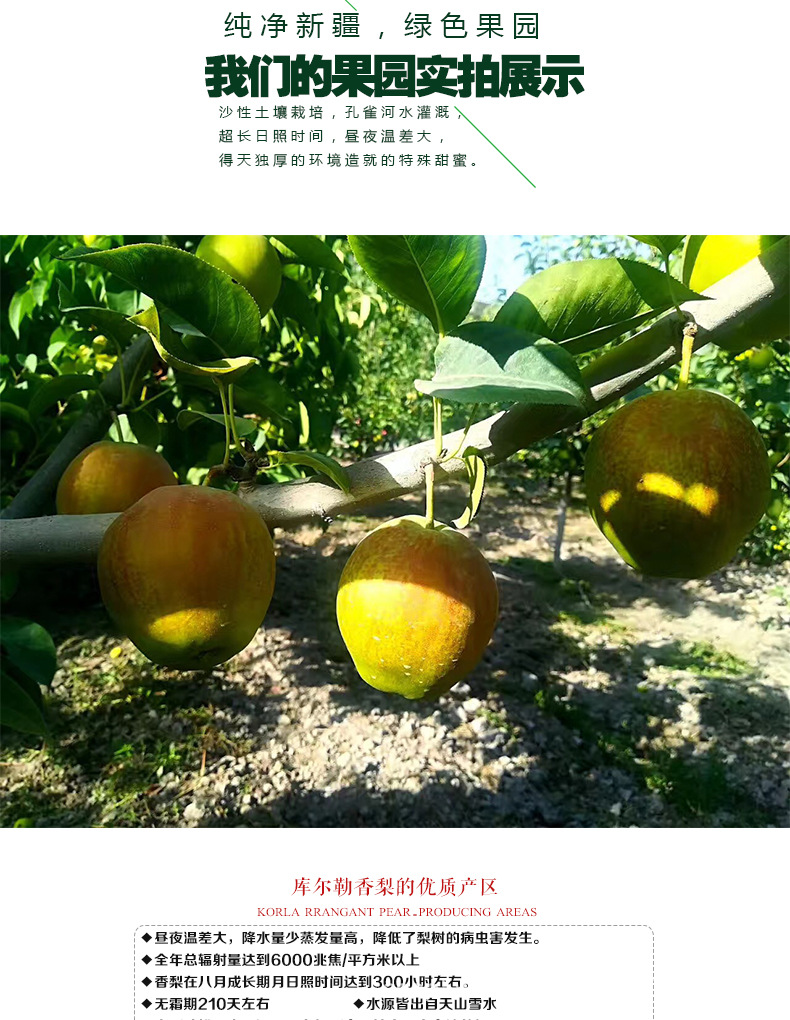 香梨详情页_06.jpg