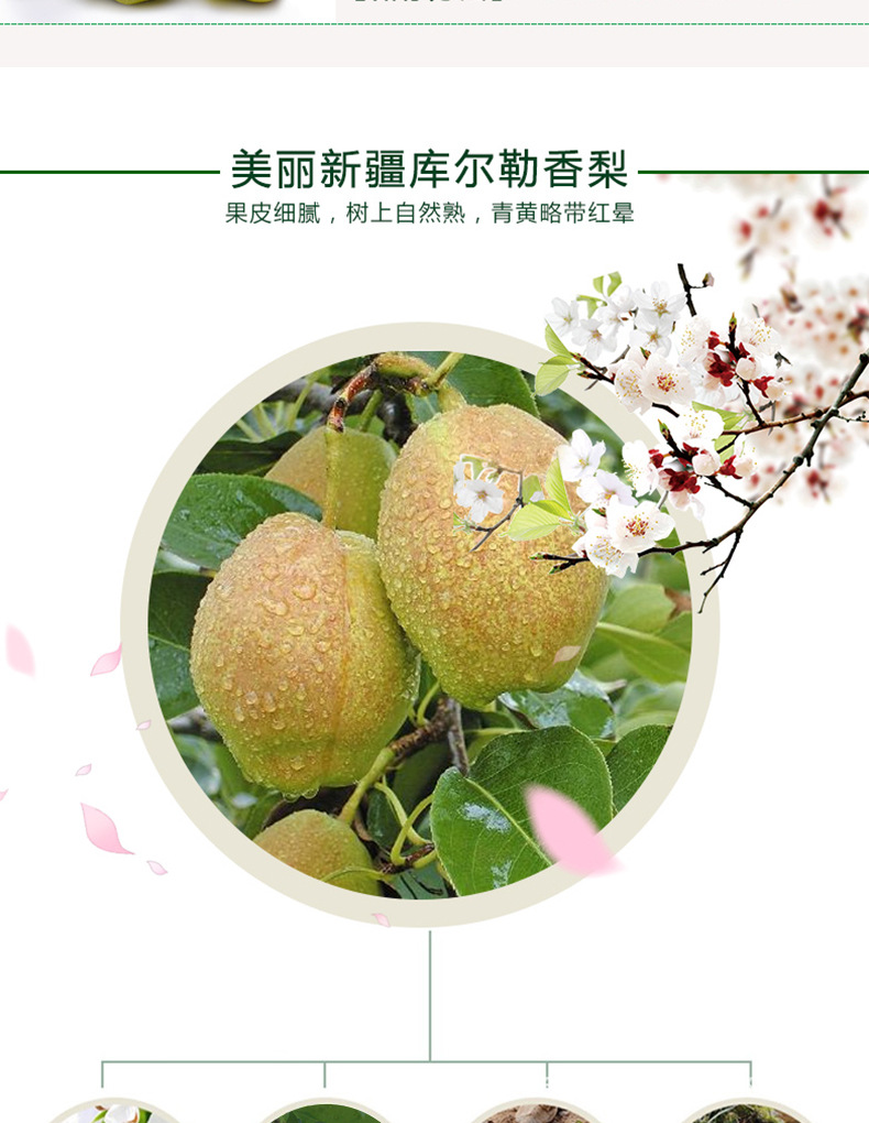 香梨详情页_02.jpg