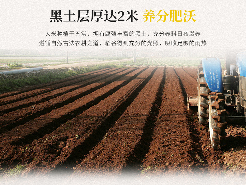 白米5kg_04.jpg