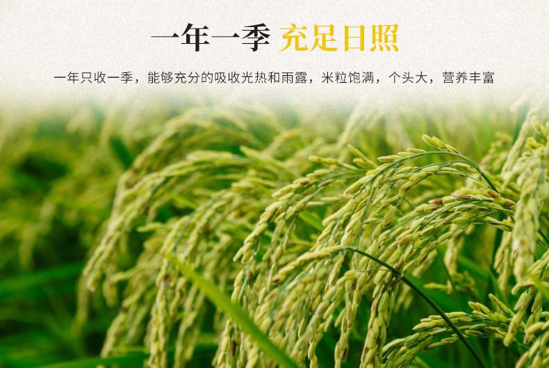 白米5kg_06.jpg