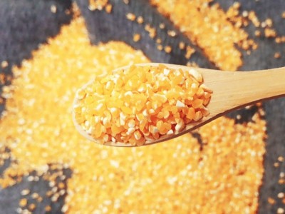 玉米碴子真空新鲜玉米糁玉米渣子玉米粥玉米粒批发内蒙古图5