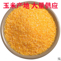 厂家供应 玉米碴子 黄玉米渣 玉米粒 五谷杂粮 农家玉米糁