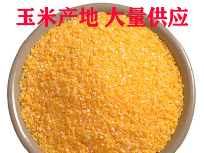 厂家供应 玉米碴子 黄玉米渣 玉米粒 五谷杂粮 农家玉米糁图3