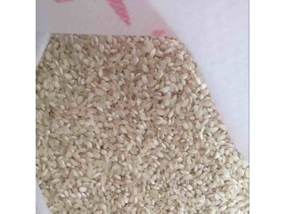 无粘性早稻米 生产米线凉皮米粉干米豆腐 早籼米货源厂家直批图2