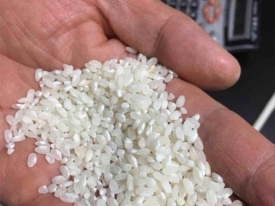 无粘性早稻米 生产米豆腐米线凉皮米粉干 早籼米货源厂家直批图4