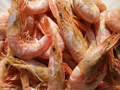 厂商直销碳烤无盐东海对虾干海鲜干货即食大虾网红零食虾批发图3