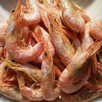 厂商直销碳烤无盐东海对虾干海鲜干货即食大虾网红零食虾批发