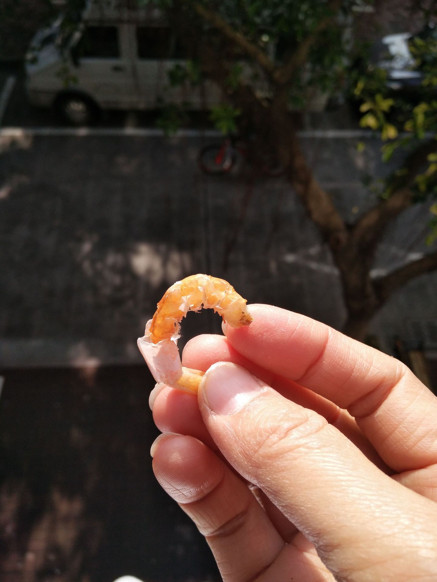 小虾干