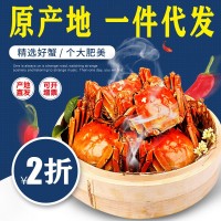 8只定制阳澄湖大闸蟹螃蟹礼券提货卡蟹卡礼盒精装生鲜批发
