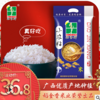 稻金乡5kg小农粘米广西大米10斤装晚籼新米长粒香米广东佛山批发