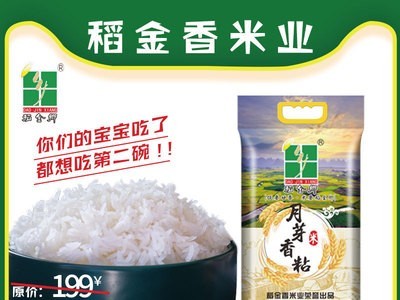 稻金乡5kg软鼠牙广西香米10斤籼米油粘新米丝苗米南方大米长粒香图2