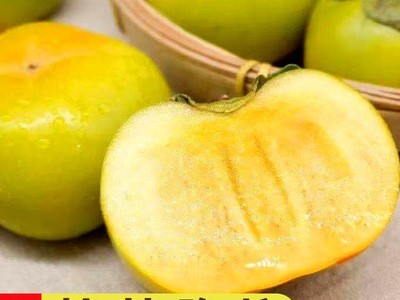 桂林脆柿 新鲜水果当季整箱黄甜硬柿子陕西现摘脆甜柿子3斤一件发图3