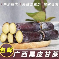 广西黑皮甘蔗当季整箱3斤起批应季水果脆皮多汁现砍现发农家甘蔗