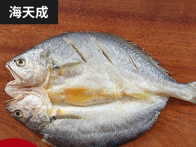散装鲜醉黄鱼鲞大黄鱼黄花鱼黄瓜鱼海鲜冷冻 源产地批发海水产品图3