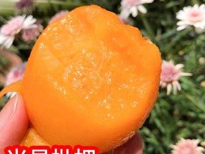 攀枝花现摘四川攀枝花米易新鲜水果图3