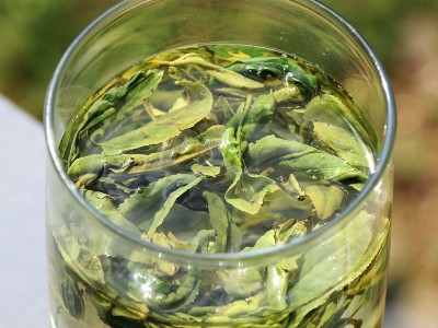 黄山毛峰250g绿茶浓香云雾茶礼盒装明前茶叶高山绿茶散装毛尖茶叶图5