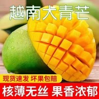 越南大青芒新鲜芒果9斤水果当季青芒果大果整箱金煌青皮芒果包邮