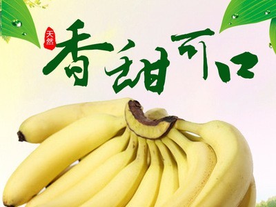 福建土楼香蕉 香甜软糯 香甜可口 不打蜡不催熟 新鲜孕妇水果批发图4
