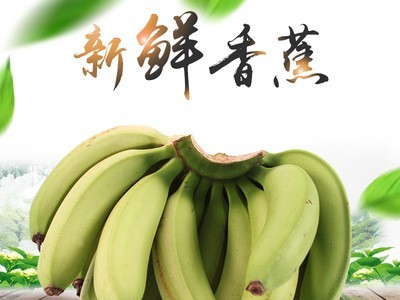 福建土楼香蕉 香甜软糯 香甜可口 不打蜡不催熟 新鲜孕妇水果批发图3