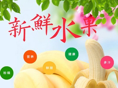 福建土楼香蕉 香甜软糯 香甜可口 不打蜡不催熟 新鲜孕妇水果批发图2