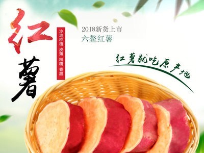 福建特产新鲜现挖现发沙地地瓜六鳌红薯 红心蜜薯 儿童辅食中大果图2