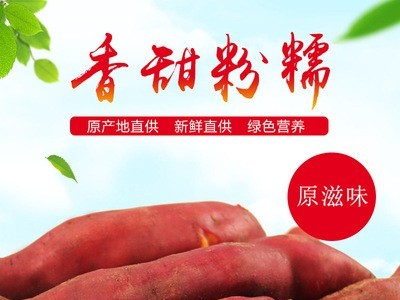 福建特产新鲜现挖现发沙地地瓜六鳌红薯 红心蜜薯 儿童辅食中大果图4