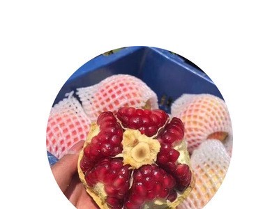 厂家直供酸甜薄皮突尼斯软籽石榴甜石榴新鲜应季现摘石榴图5
