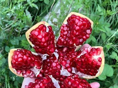 厂家直供酸甜薄皮突尼斯软籽石榴甜石榴新鲜应季现摘石榴图3