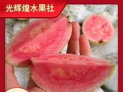 新鲜当季水果红心芭乐番石榴香甜软心芭乐果整箱批发5斤装图3