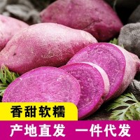 一件代发 现挖现货 山东紫薯 新鲜当季蔬菜粗粮香甜软糯 紫心番薯