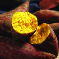 新鲜现挖板栗红薯香山芋地瓜板票红暑板粟小蕃薯农家蜜薯栗子番薯