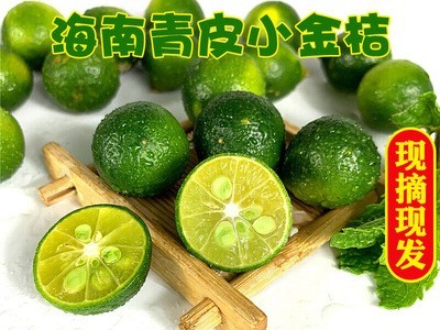 海南小金桔5斤新鲜青金桔柠檬小橘子奶茶店当季水果皮薄多汁图2