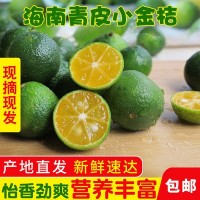 海南小金桔5斤新鲜青金桔柠檬小橘子奶茶店当季水果皮薄多汁