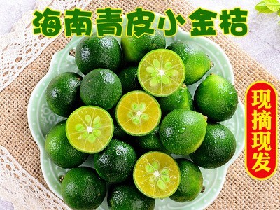 海南小金桔5斤新鲜青金桔柠檬小橘子奶茶店当季水果皮薄多汁图4