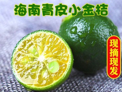 海南小金桔5斤新鲜青金桔柠檬小橘子奶茶店当季水果皮薄多汁图3