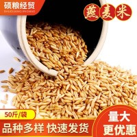 当季新粮供应五谷杂粮燕麦米 农家自产燕麦米燕麦仁 燕麦米袋装