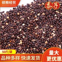 供应五色黍子酿酒高粱 信鸽饲料五谷杂粮高粱黍子 酿醋黍子批发