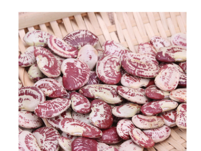 新货五谷杂粮斑马豆 农家自产红花豆小荷包豆 八宝粥豆浆原料批发图4