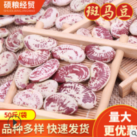 新货五谷杂粮斑马豆 农家自产红花豆小荷包豆 八宝粥豆浆原料批发