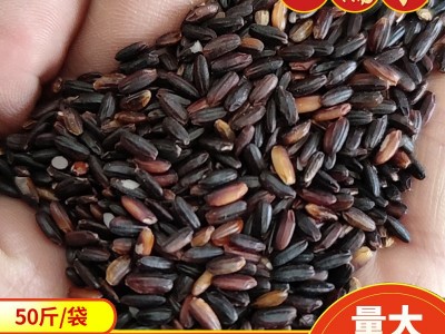 50斤装血糯米黑糯米 五谷杂粮现磨豆浆 新米农家自产紫糯米血糯米图4