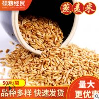 当季新粮供应五谷杂粮燕麦米 农家自产燕麦米燕麦仁 燕麦米袋装