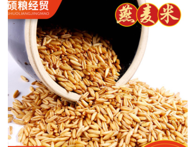 当季新粮供应五谷杂粮燕麦米 农家自产燕麦米燕麦仁 燕麦米袋装图2