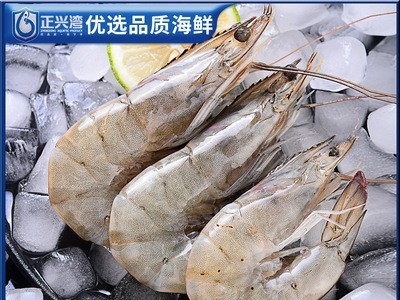 白虾急冻 新鲜速达 低价批发经销商超餐饮源头直发团购采购礼品图4