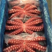 大鱿鱼整只鲜活冷冻鱿鱼乌贼大章鱼八爪鱼整只烧烤火锅
