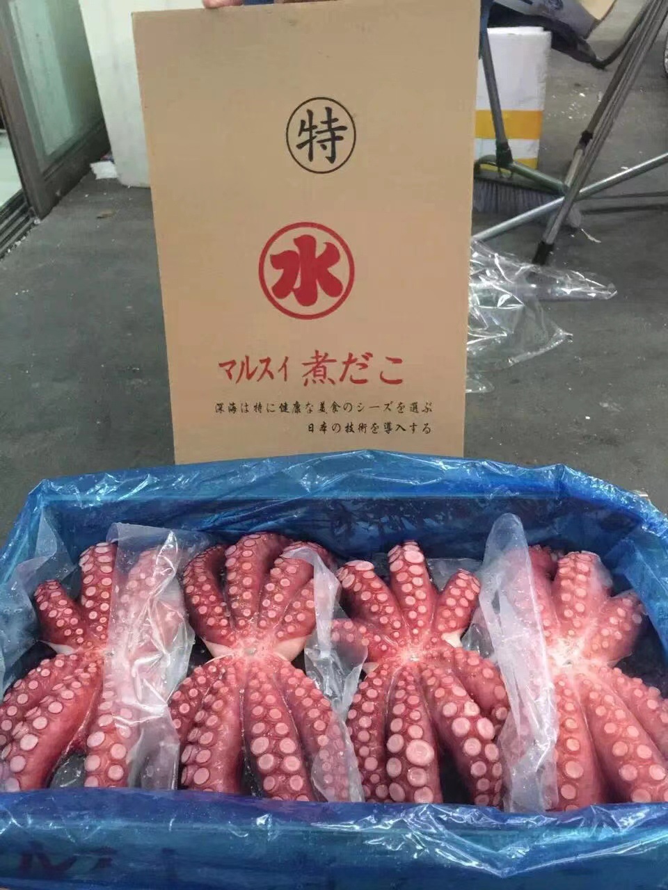 48f1305129d72879aabe81f9ec71fe
