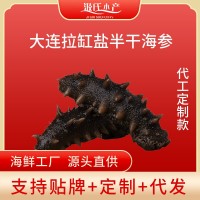 半干海参批发汲氏水产大连拉缸盐海参辽刺刺参工厂直供酒店食材