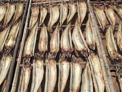 微盐鳗鱼干500g白鳝河鳗海鳗鱼干渔民自晒干货9成干每条300克左右图2