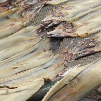 微盐鳗鱼干500g白鳝河鳗海鳗鱼干渔民自晒干货9成干每条300克左右