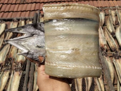微盐鳗鱼干500g白鳝河鳗海鳗鱼干渔民自晒干货9成干每条300克左右图4