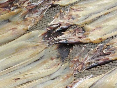 微盐鳗鱼干500g白鳝河鳗海鳗鱼干渔民自晒干货9成干每条300克左右图5